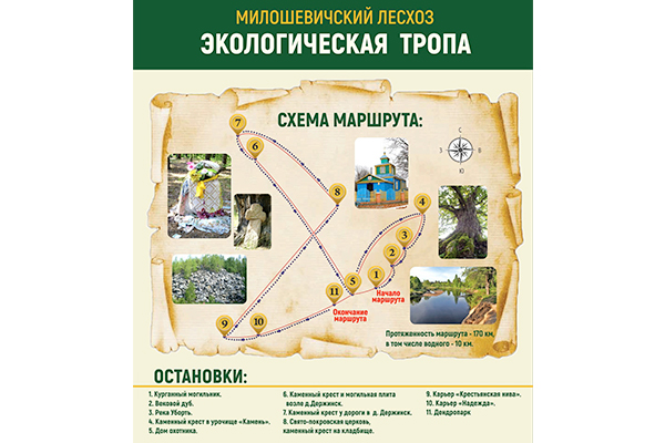 Милошевичский лесхоз приглашает на уникальную экскурсию по экологической тропе